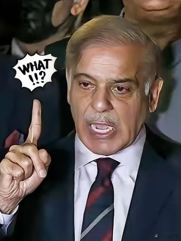 就在刚刚
巴基斯坦宣布了
2025年11月8日，巴基斯坦新闻部长阿陶拉·塔拉尔在