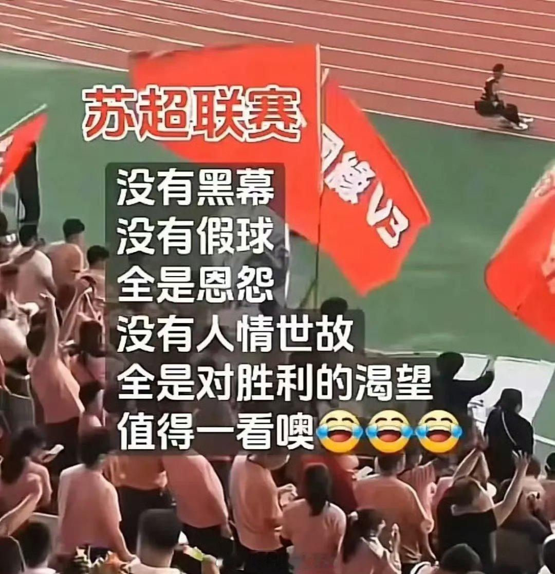 江苏足协副主席辟谣苏超改名苏超联赛改名为“江苏健康文化旅游足球城市联赛”、“江苏