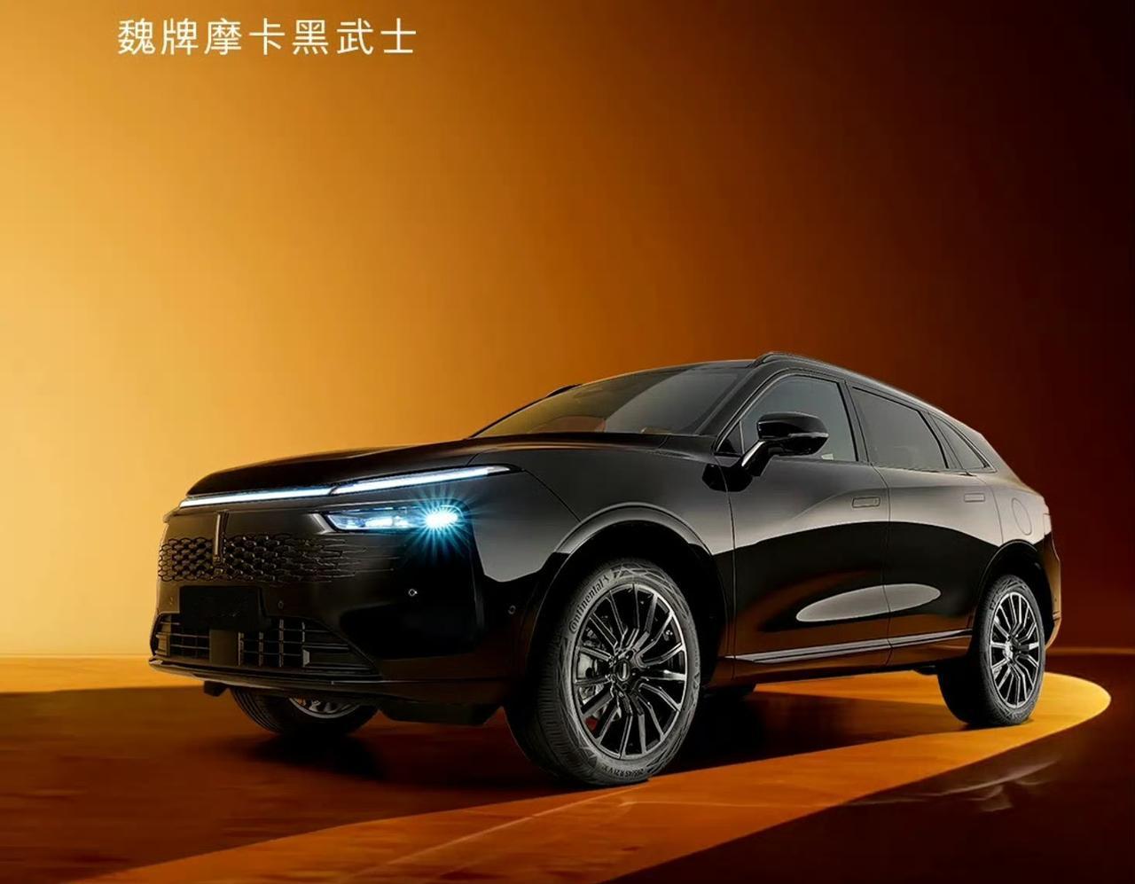 魏牌摩卡黑武士版来了，有没有帅到get你？ ​​​