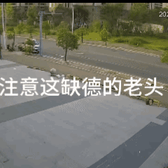 速去请动保协会抓老头！昨日，福建福州。一位拄着拐杖的老大爷在路边散步时，突然转身