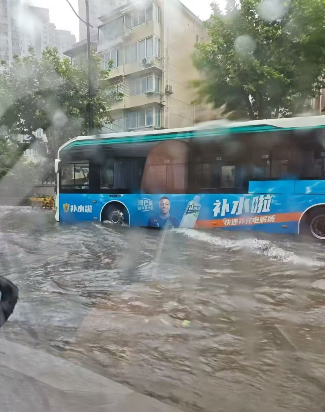 群里看到网友发的一张图我是徐家汇，补水啦台风白海豚白海豚快速减弱