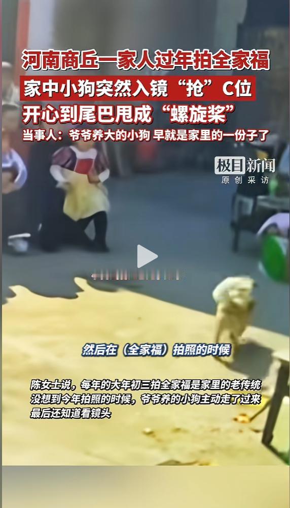“主角总是最后一个登场的！”近日，河南商丘，一家人在拍摄全家福的时候，爷爷养的小