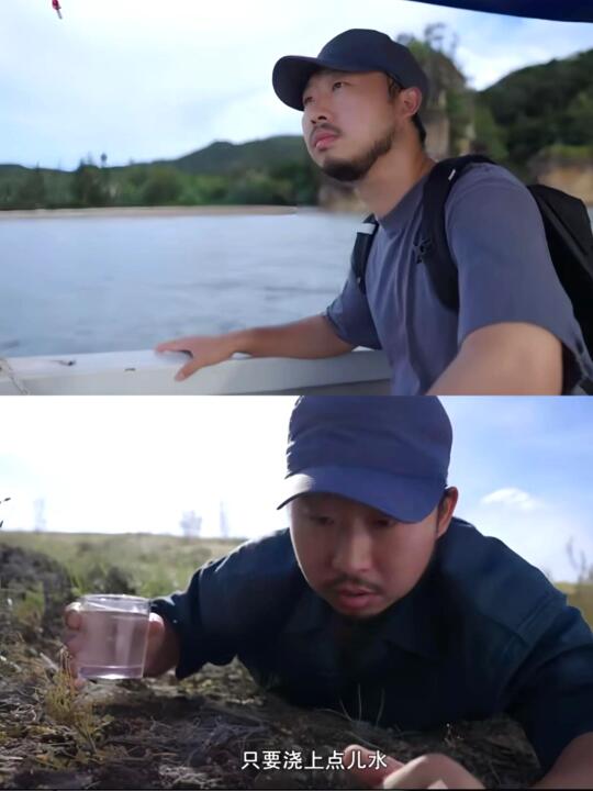 好震撼！所有人都去看这部纪录片！