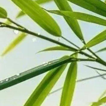 人的一生，每段路都有它的意义，别频频回首，回头路看清过往，前进路看清目标，只要你