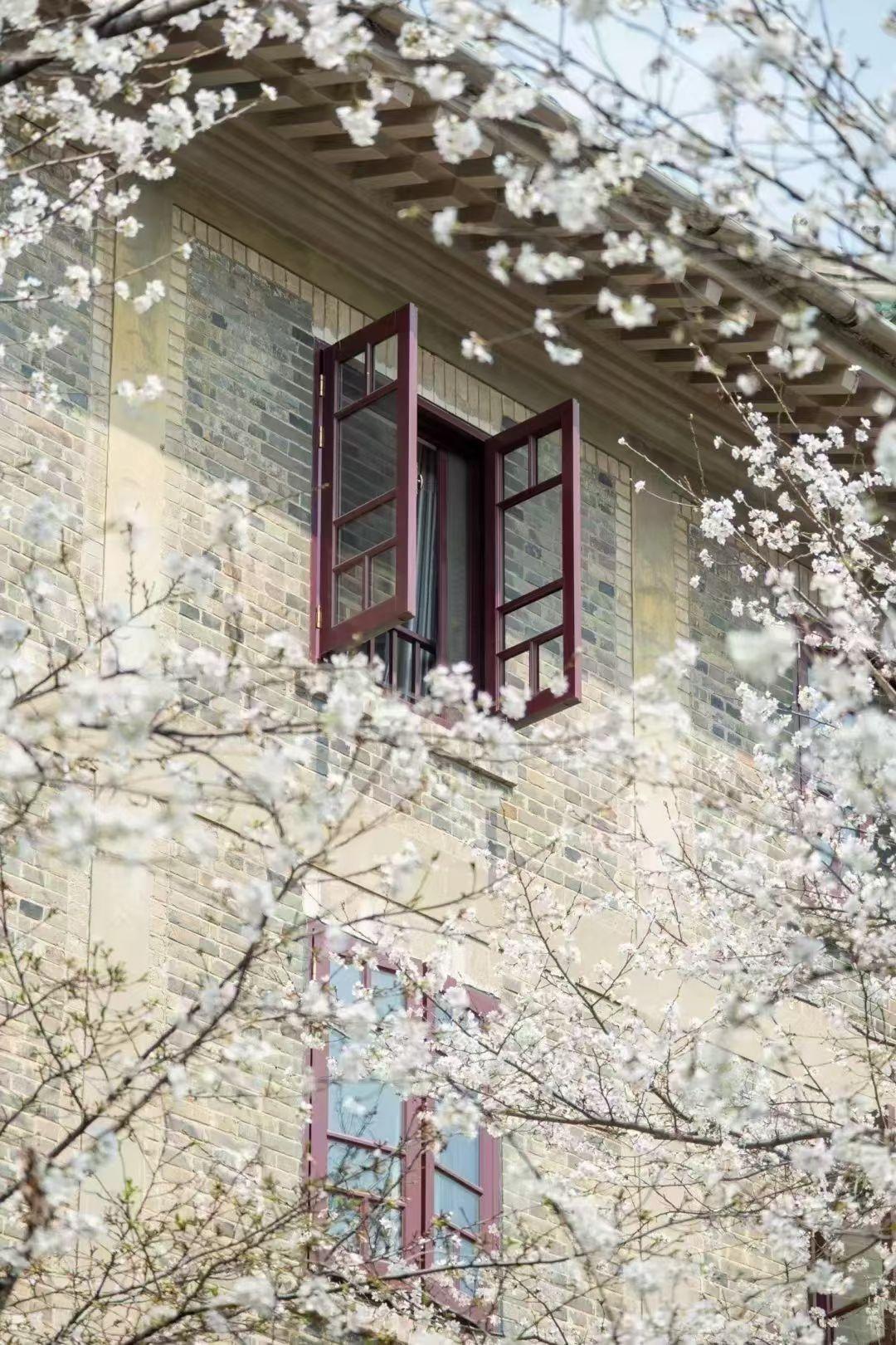 今天是3月3日星期二，农历正月十五，今天就是元宵节，祝我们平安喜乐，所许皆如愿，