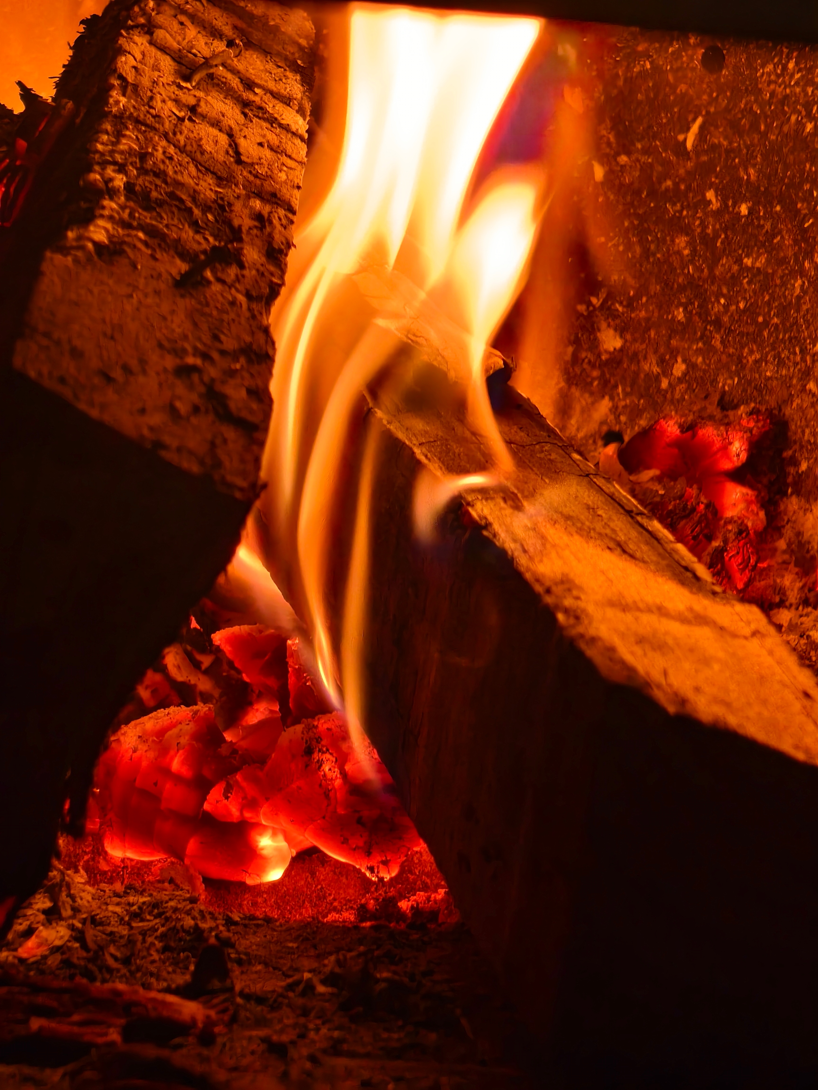 好苦，像我的生活一样 