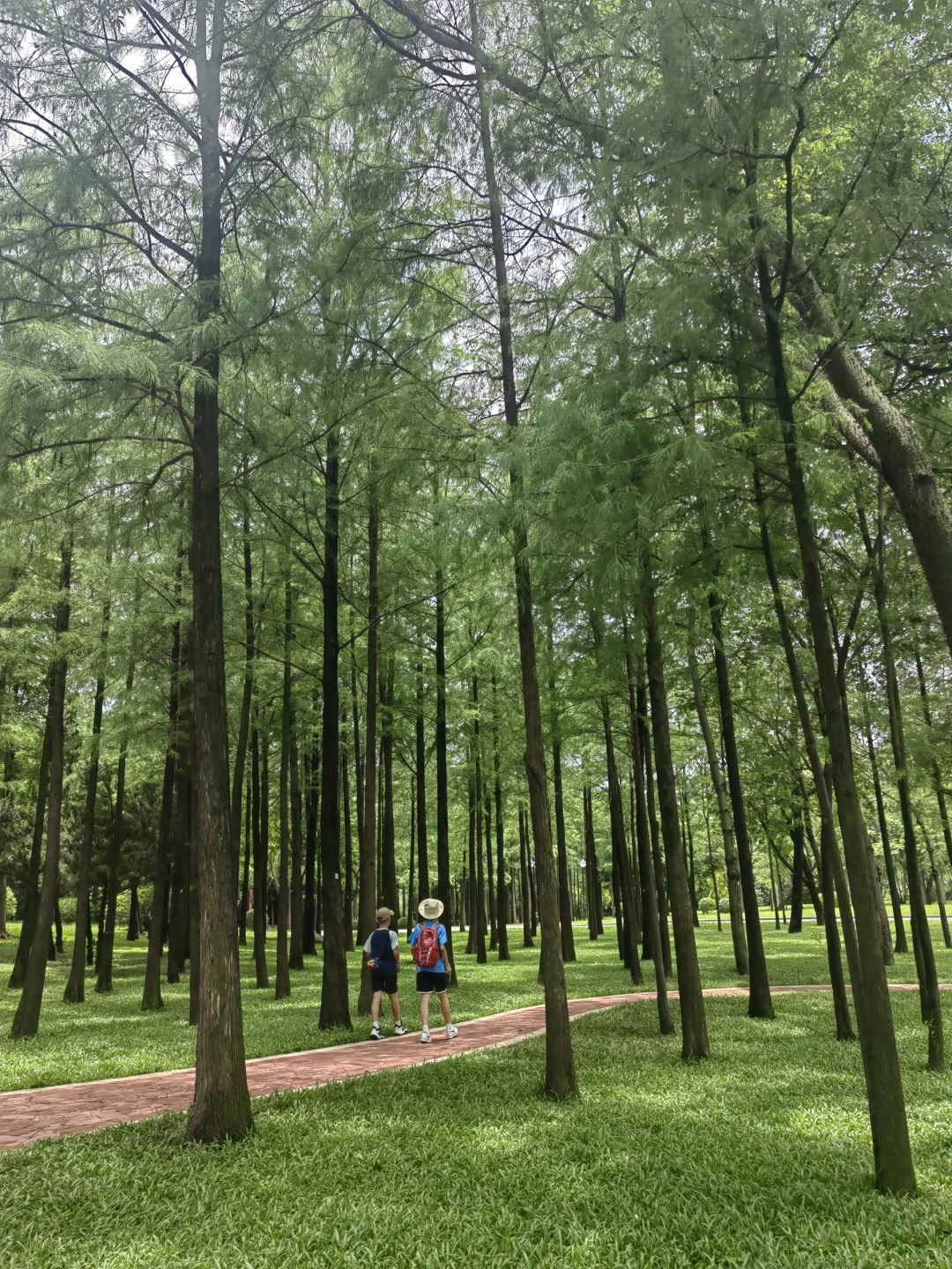 2小时足够逛！地铁直达的吸氧徒步线推荐！