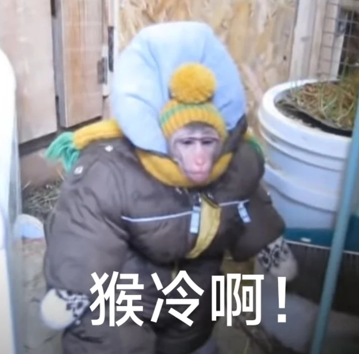 北方暴雨冷到破纪录 这两天下雨冷不行了，不知道穿什么衣服出门很烦，想穿羽绒服怕显