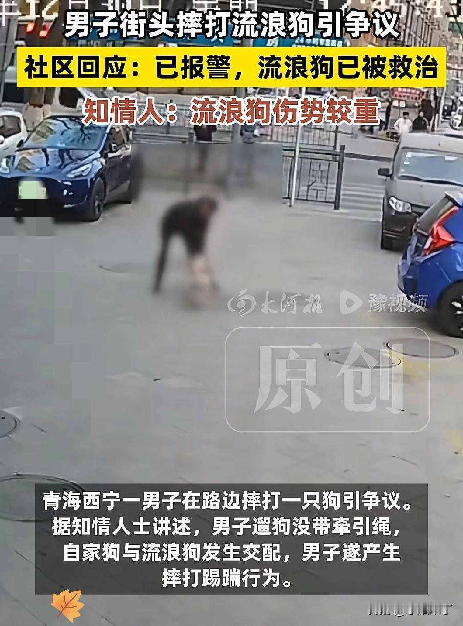 “必须严惩！”青海一男子出门遛狗，不料，狗子却趁他不注意，偷偷和一只流浪狗交配，