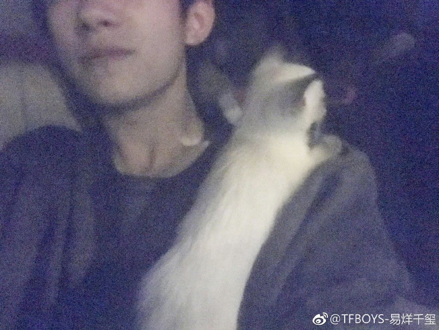 四字 易烊千玺 yyqx 四字弟弟 嘴角的笑你们知道多苏吗🥲 