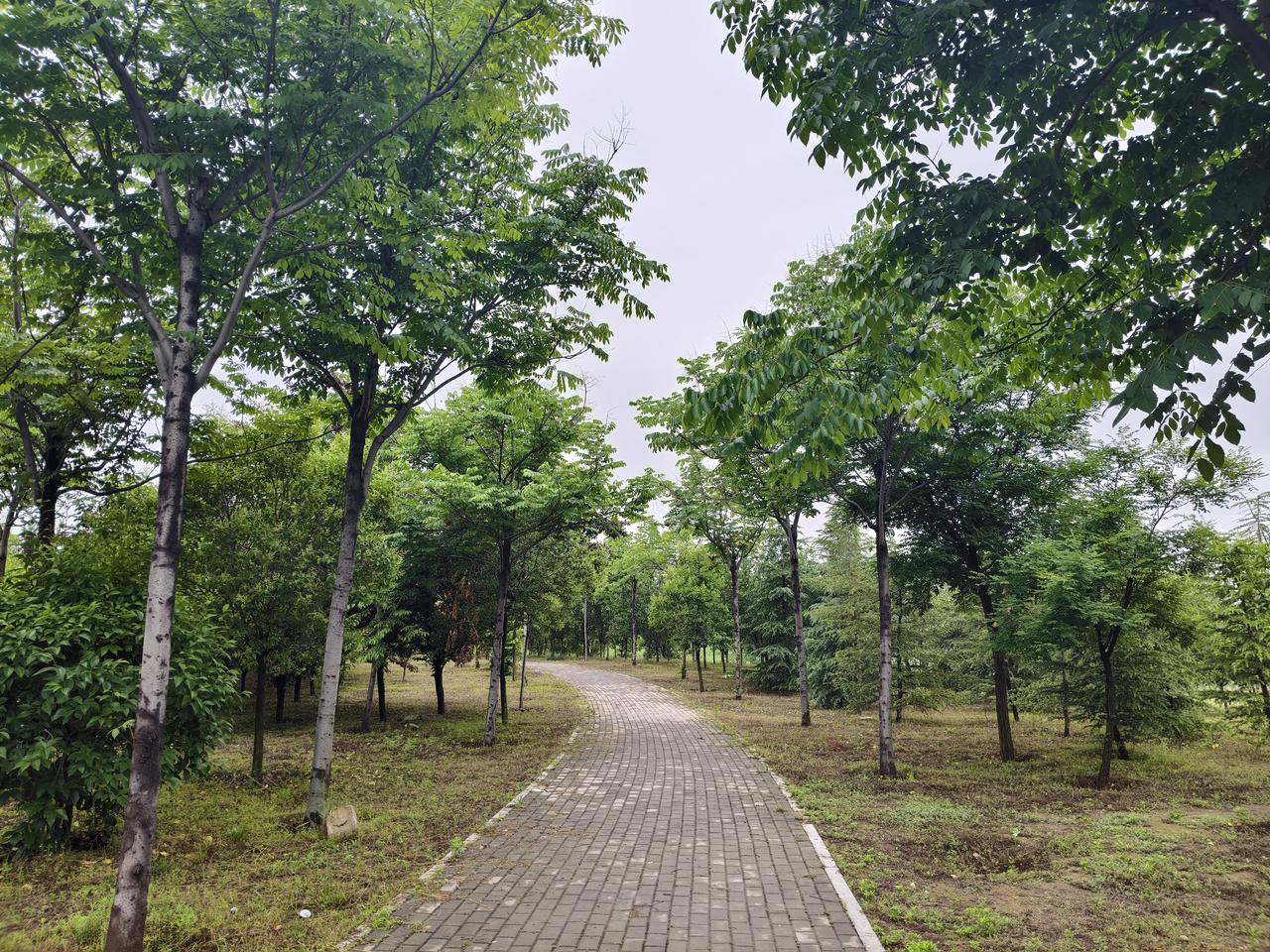别人周末逛商场，我周末逛公园。
人家买衣服我看树，主打一个：花最少的钱，享最大的