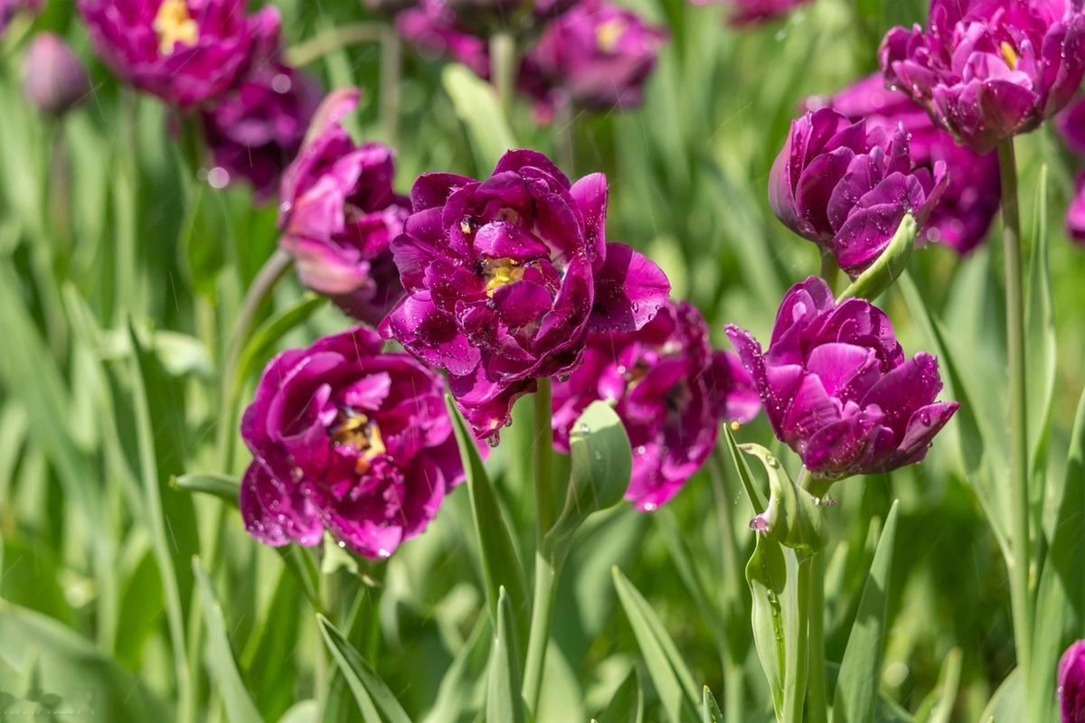 人生或许就是这样，只有走过最灰暗无光的日子，生活才会慢慢地好转，世界才会更加温暖