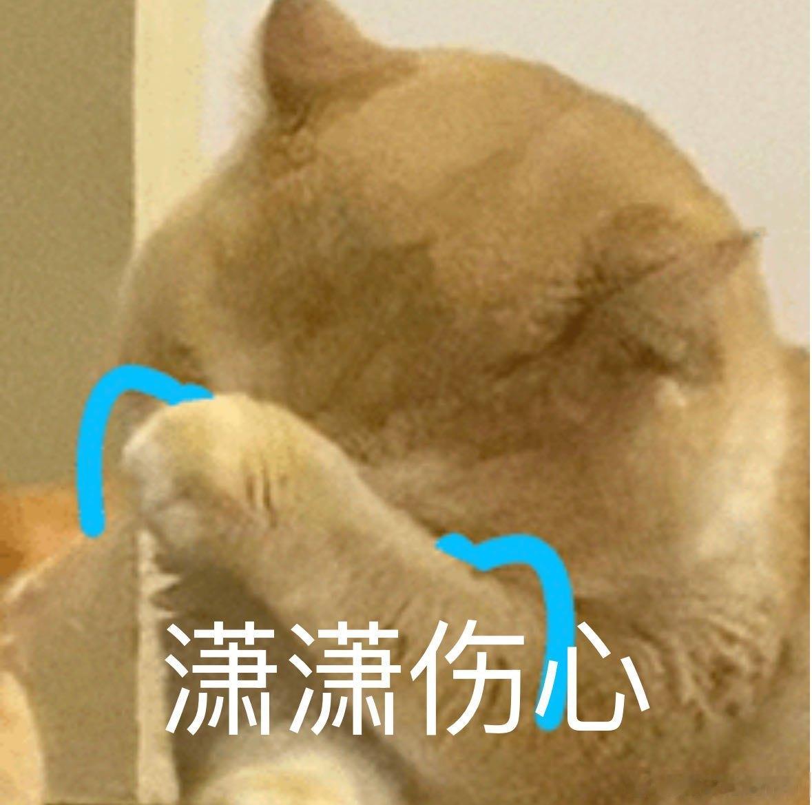 实时号检测 你快回来吧求你了