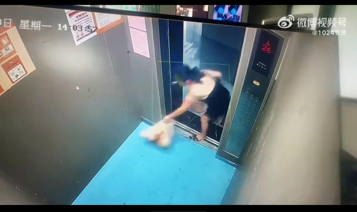 这个女人怎么可以缺德到冒烟，垃圾扔到电梯里，脏水倒到电梯井里，直接把电梯当成垃圾