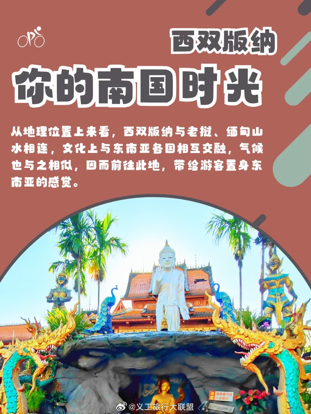 #云南旅行#西双版纳骑行攻略，明年11月到次年三月是最佳骑行季节！新手小白也可轻