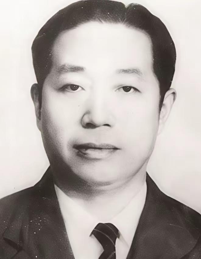 日本宣布投降后，一名日军少将主动献上十万支步枪与弹药给地下党员。还定下三个条件，
