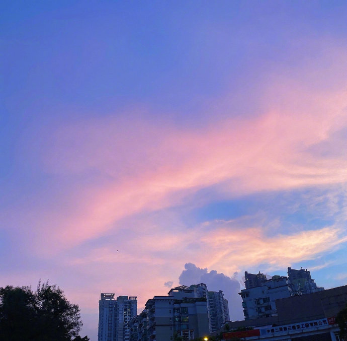生如逆旅单行道，哪有岁月可回头。  晚安~