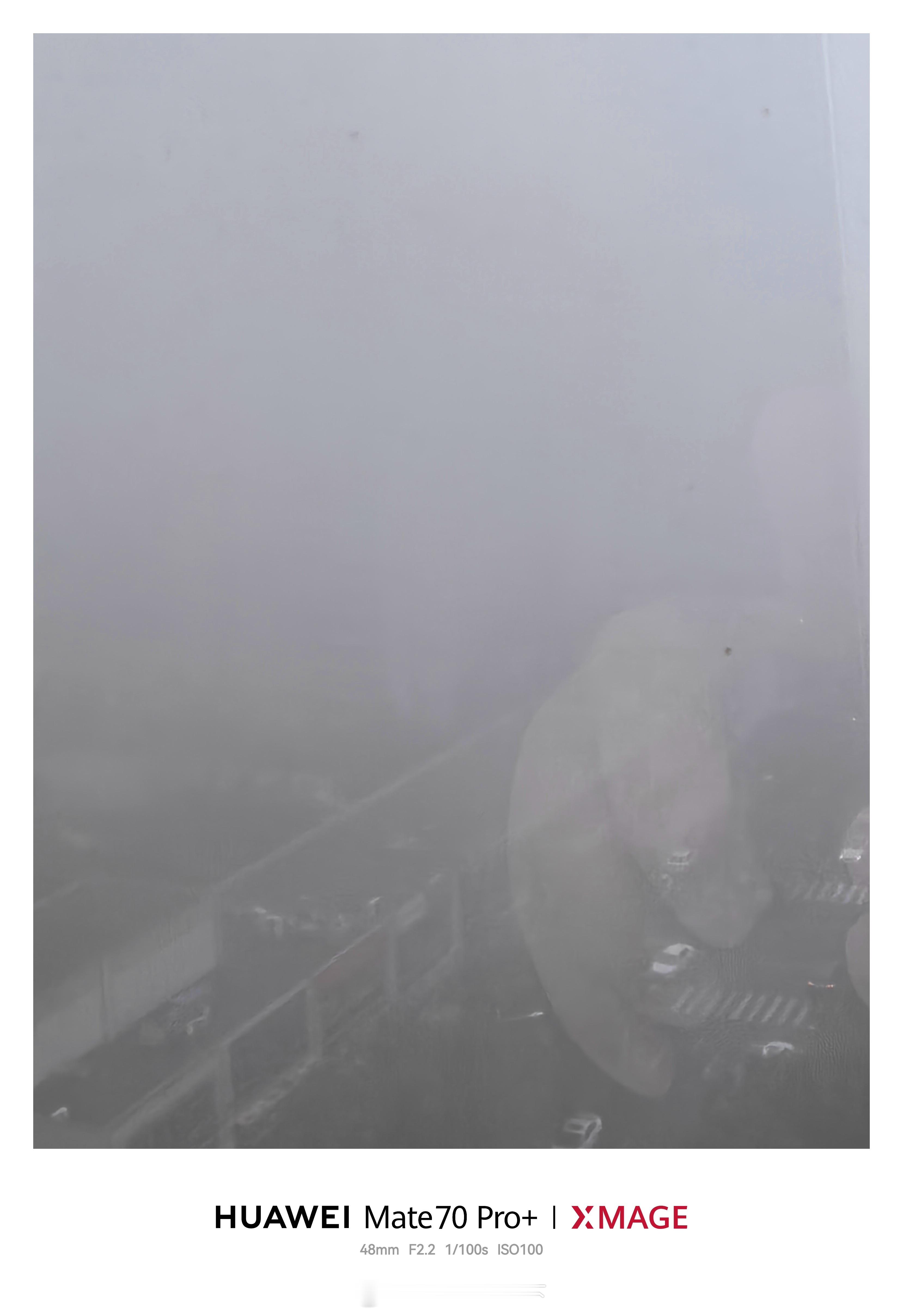 早鸭！今早合肥大雾，起来后把我整懵了😳 ​​​