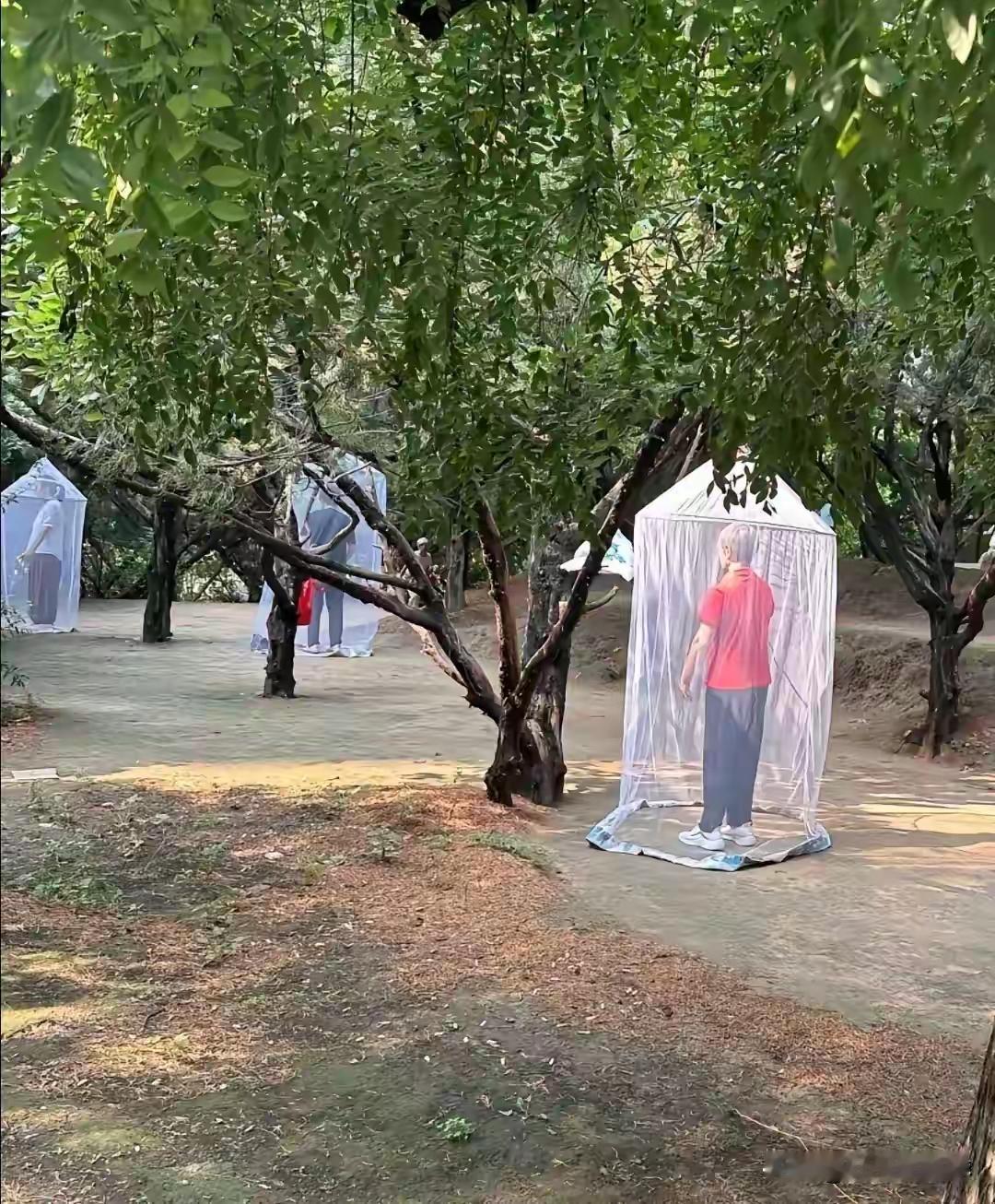 好奇怪，这些老人在干嘛？

有网友吐槽这些老人没事闲得慌，这又是整的哪一出，又作
