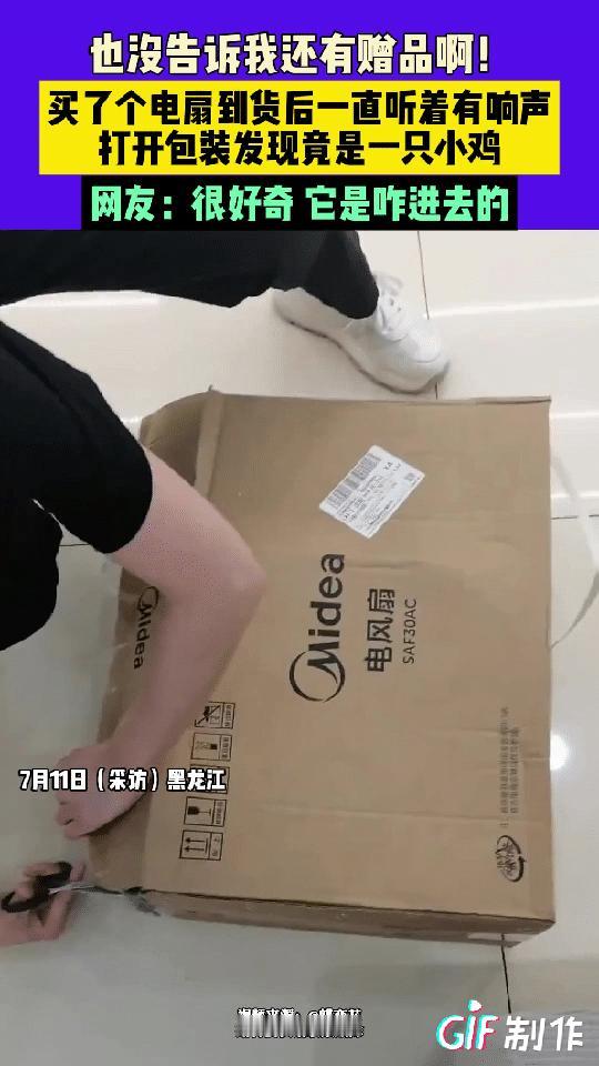 黑龙江一女子在网上网购了一台电风扇，风扇到货后，女子竟然听到快递里面有响声，万万