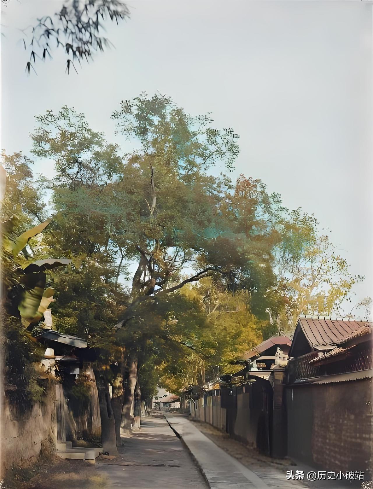 晚清时期，成都的满城街道，铺设着历经岁月磨砺的青石板路，两旁错落有致地矗立着古朴