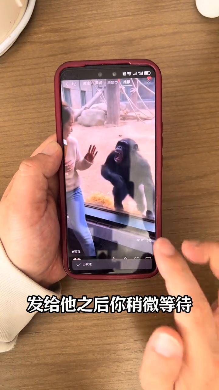 这样的视频怎么保存到手机？
像这样的视频怎么把它保存到手机里？很多人不知道怎么保