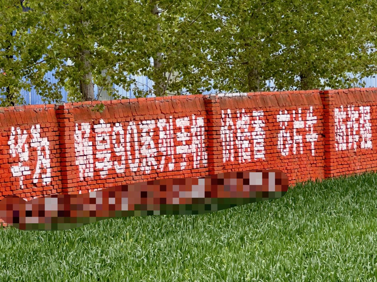 华为畅享90系列手机 价格香 芯片牛 防诈强

不是AI图片