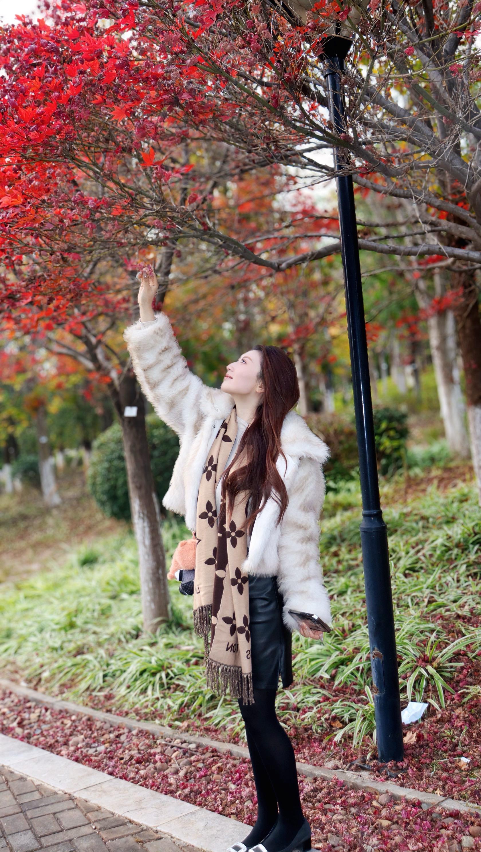 简约的心，简约的人，简静的日子，万事尽心尽力，而后顺其自然🍂