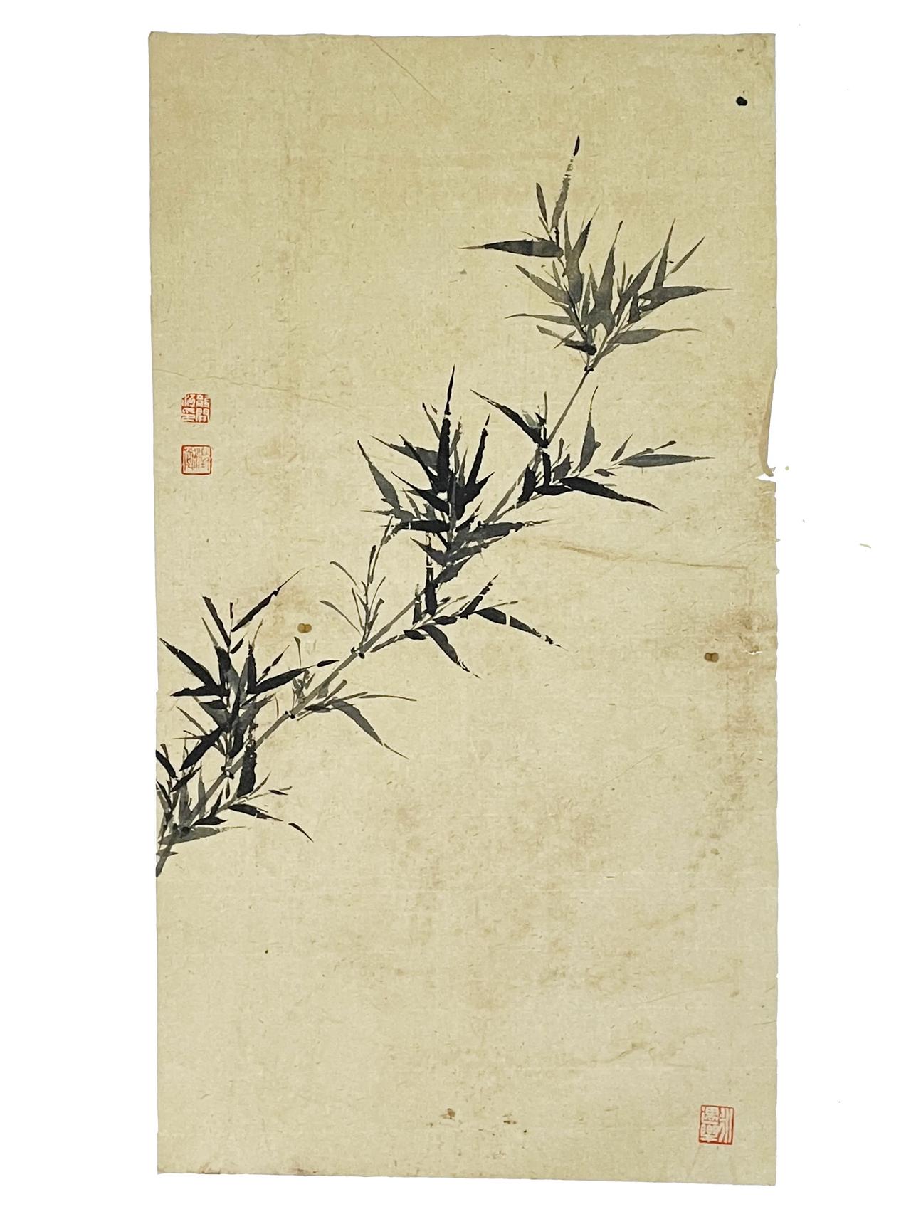 画竹