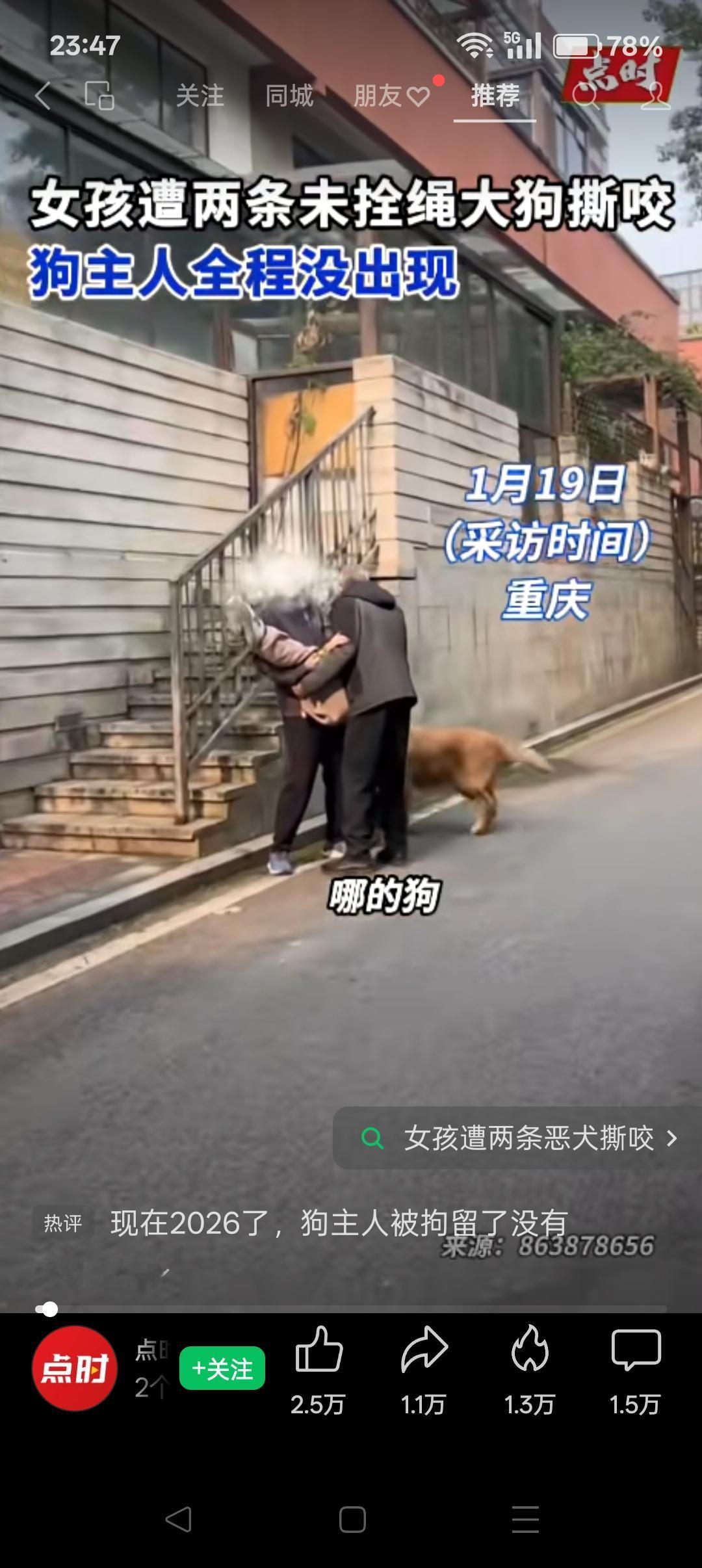 希望国家出台《城区宠物管理法》！
 
2026年1月19日报道，重庆某街巷发生一