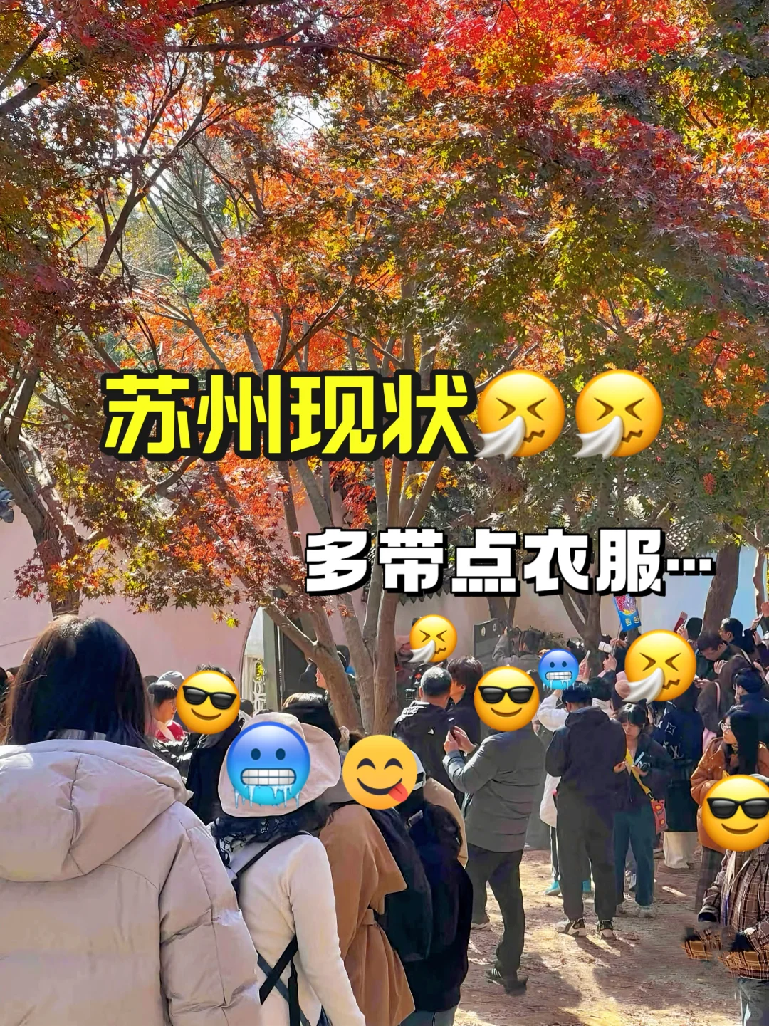 苏州已回🤧真诚提醒12-2月来的姐妹👭