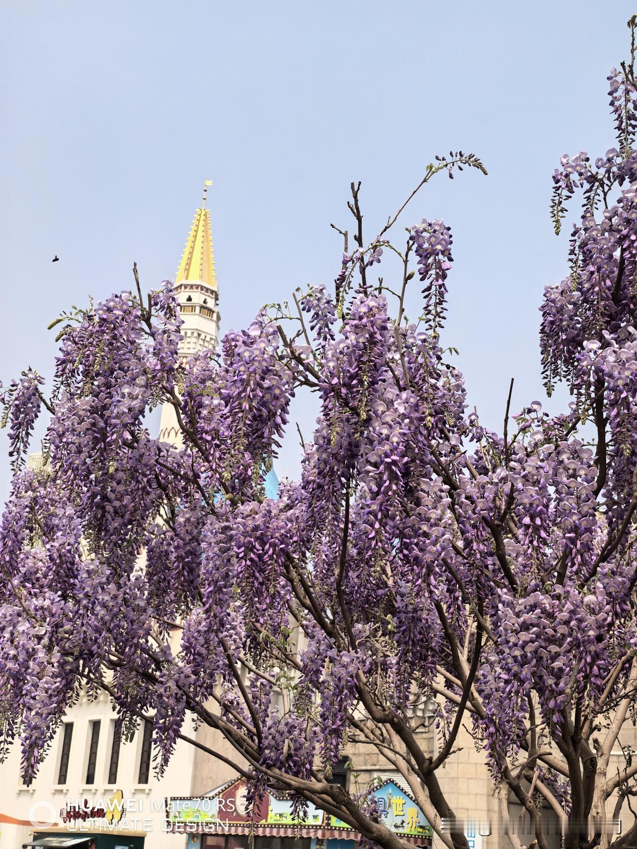 中药上市公司分红哪家高？

1.达仁堂
2025年净利润21.31亿元，年中每股