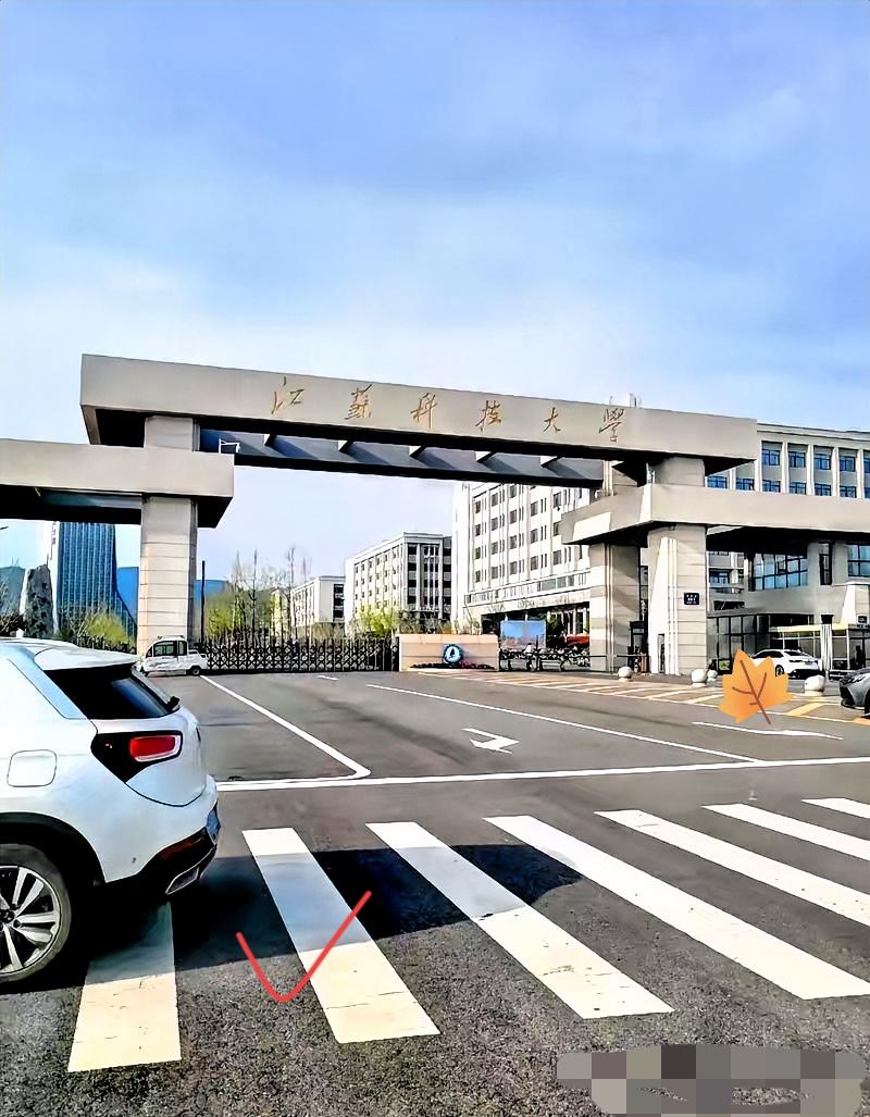 “首席科学家”学术造假引轰动！
近日，江苏科技大学首席科学家郭某疑似学术造假被警