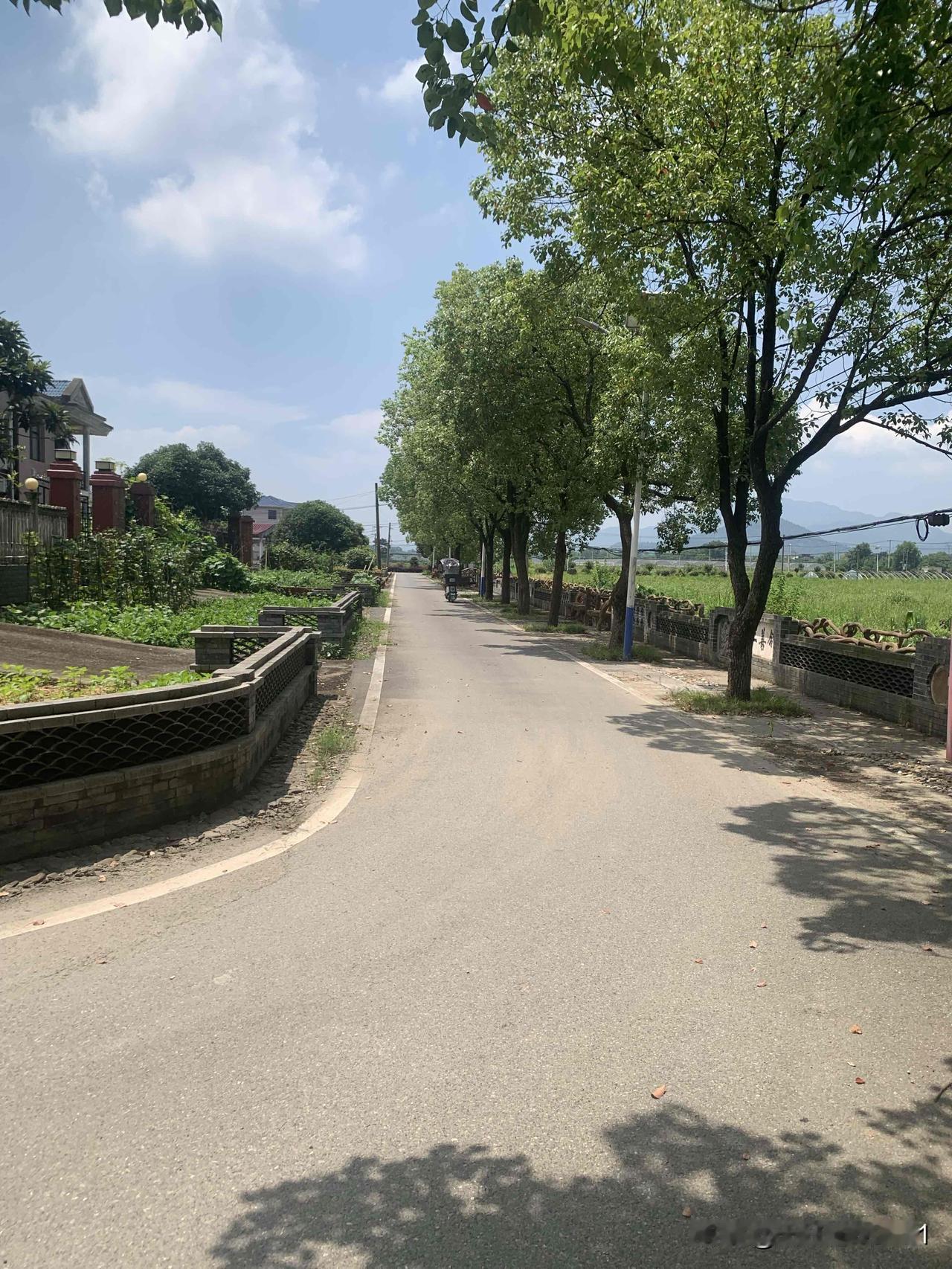 你觉得沈伯洋适合参选台北市长吗？

台北市长的核心职责，是服务市民，办好城市民生