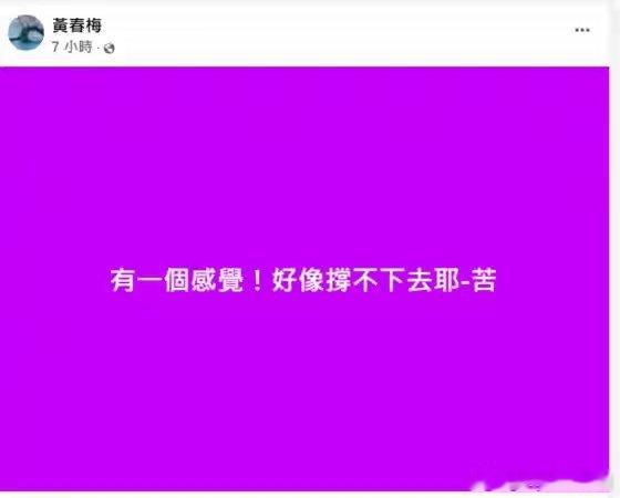 S妈凌晨发文好像撑不下去S妈凌晨痛苦求救「撑不下去」！大S离世1个月走不出　崩溃