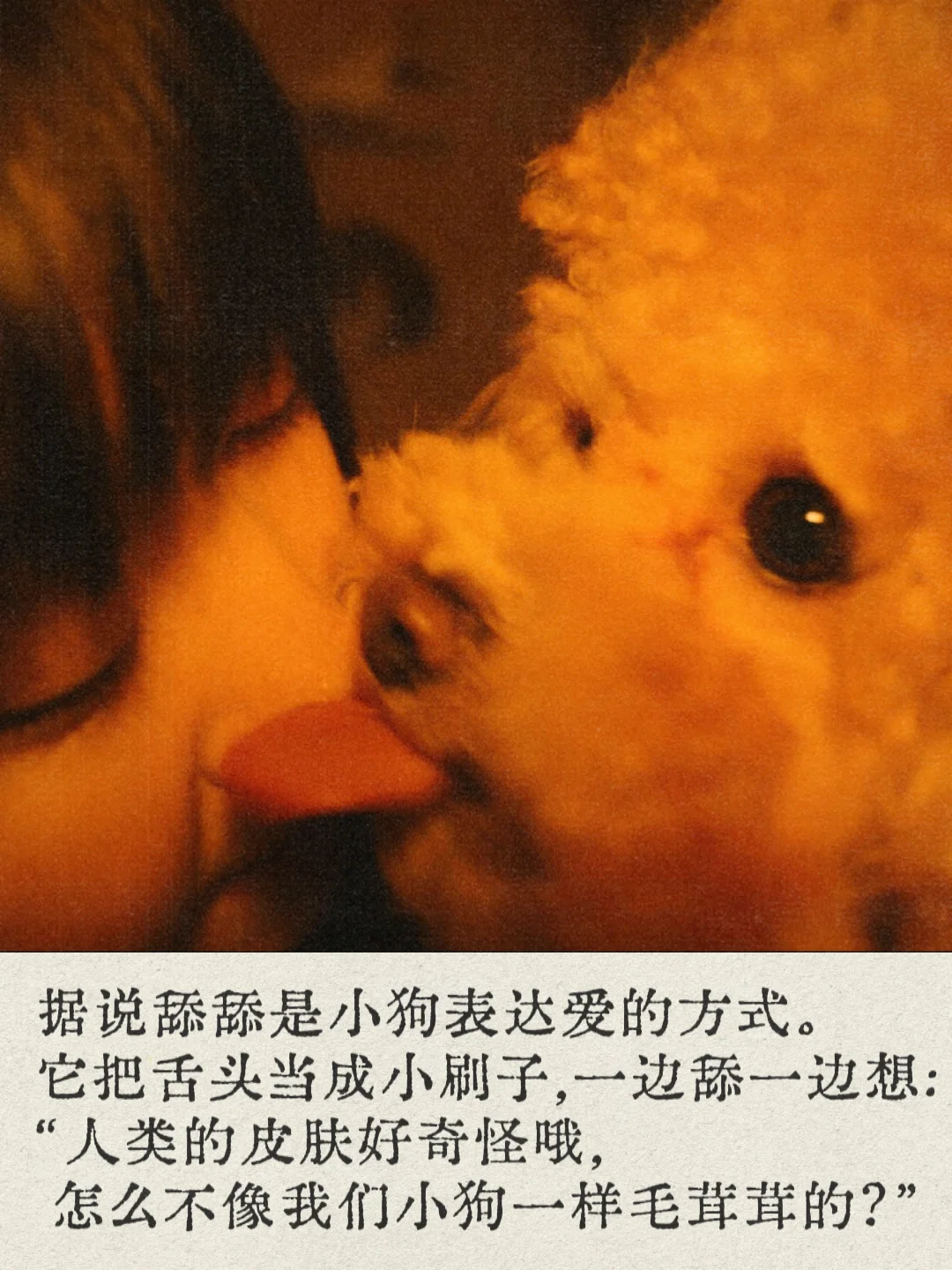 小狗表达爱的方式奇奇怪怪滴🧡⋆˙⟡♡✧˖° '◡'