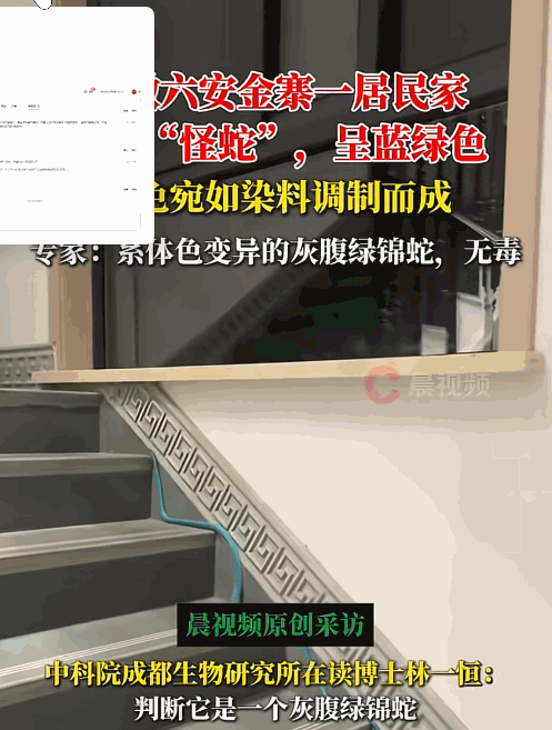 安徽，女子在家打扫卫生，突然发现楼梯处有一根蓝色软管，她刚准备走过去收拾，不料，