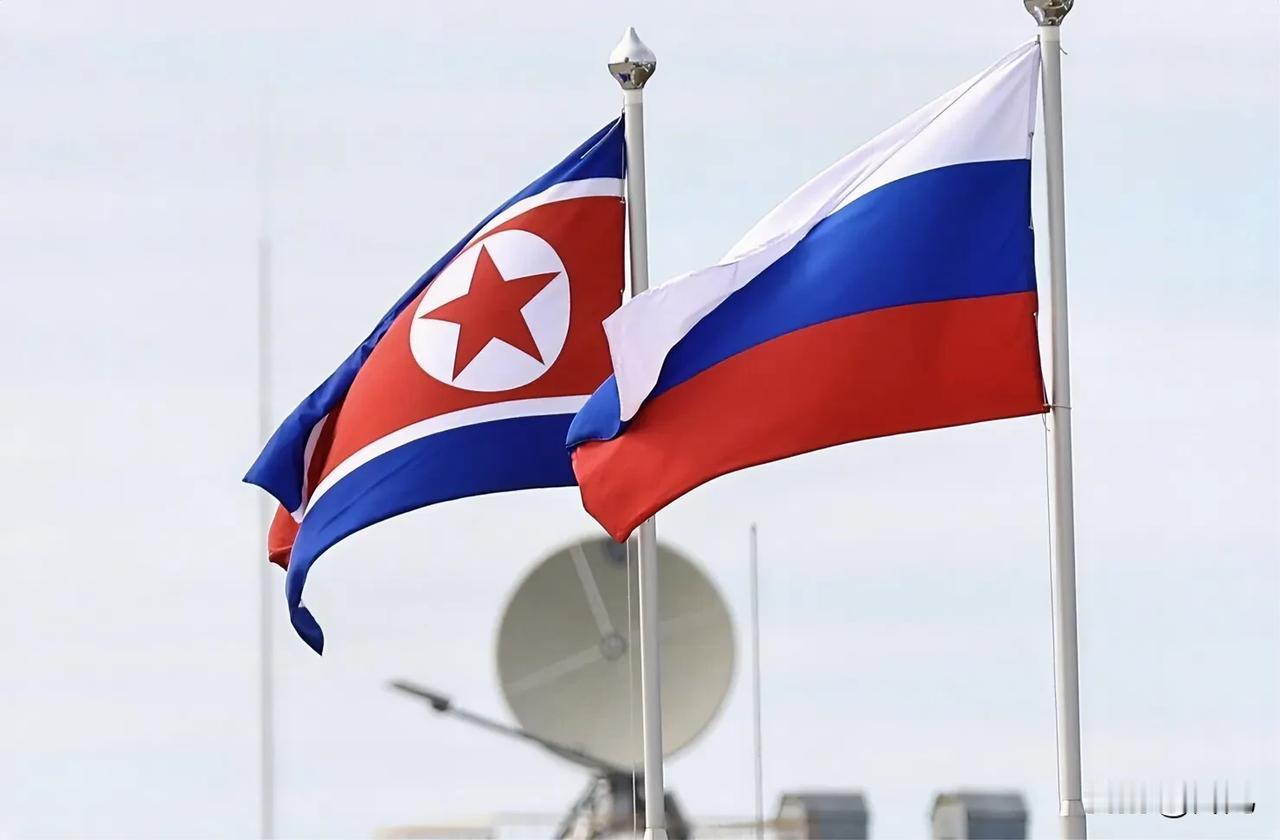 坐不住了！美国、加拿大、法国、日本、韩国等多国外长和欧盟外交政策高级代表发布联合