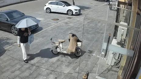 住别墅，开豪车，转身就偷了别人一辆电动车...强调一下！她不是靠偷电动车才过上这