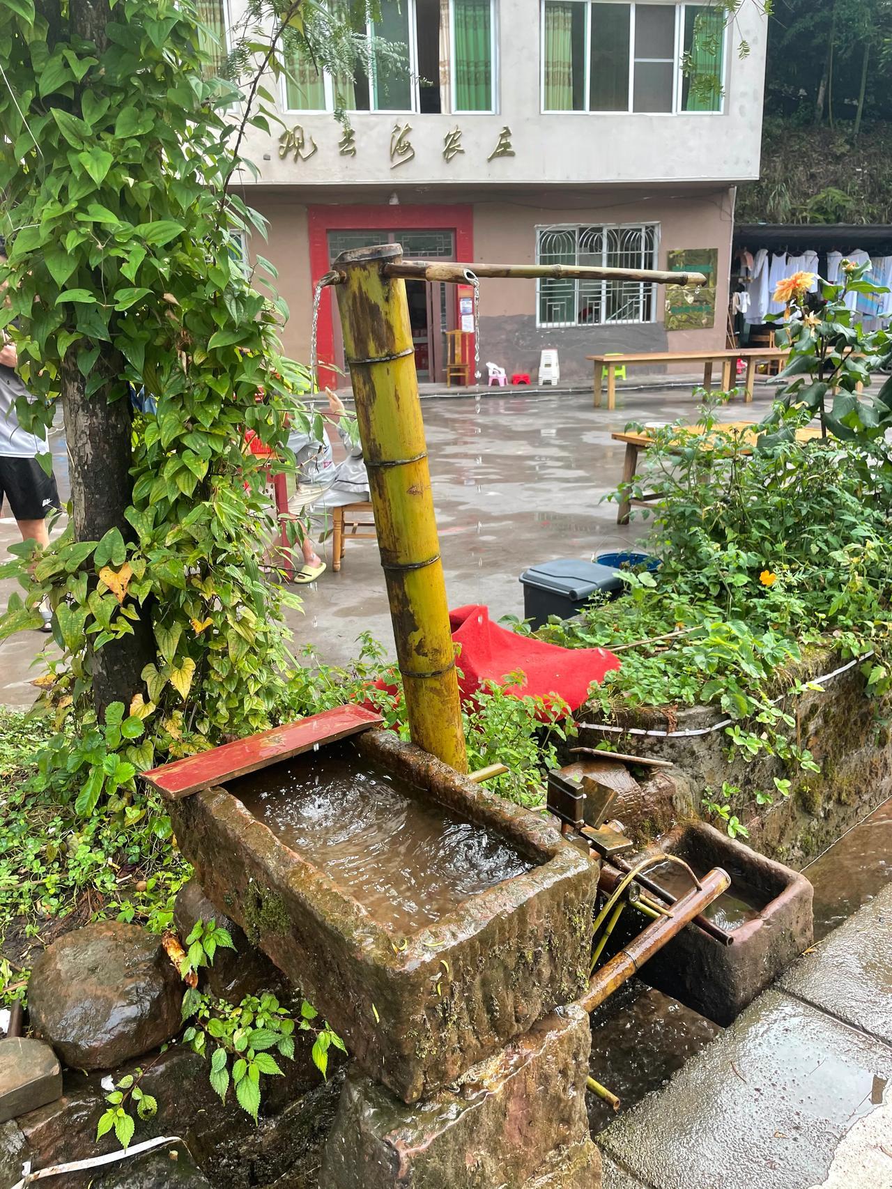 竹筒滴水
         ——南木子
竹筒顶端有三枝，
细水清亮不停滴。
干净
