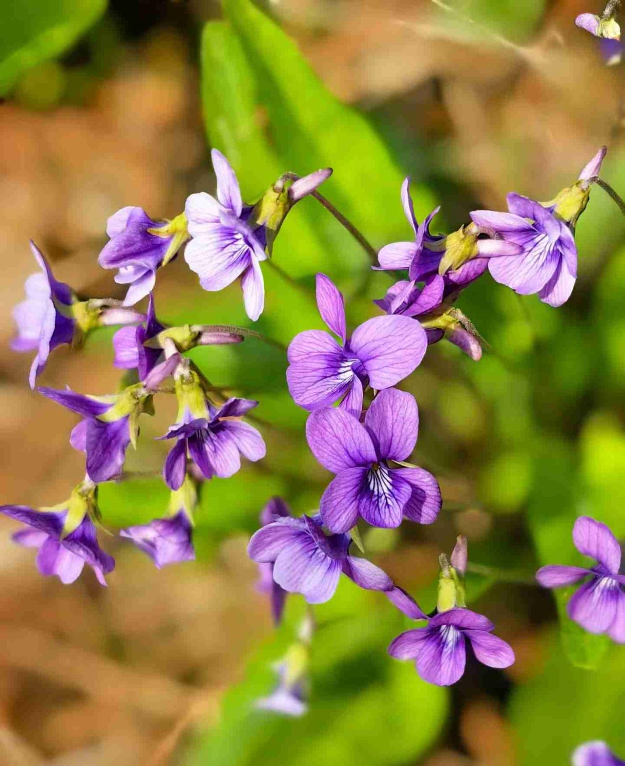 我的今日状态：😁轻松愉快
我这里的天气：☀️晴天