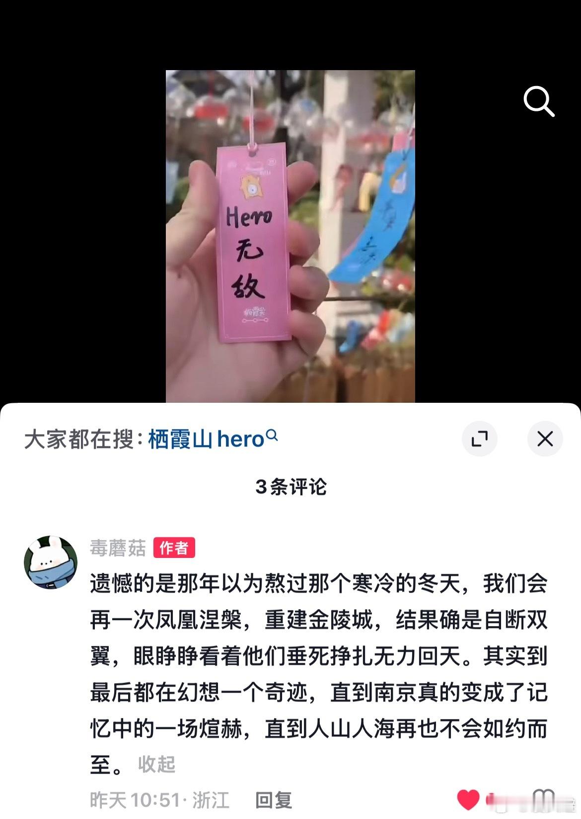 我看着这条评论一直在哭 曾几何时大家都以为熬过那个寒冷的冬天 hero会越来越好