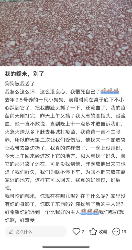 哪条法律规定教师不能遗弃狗？