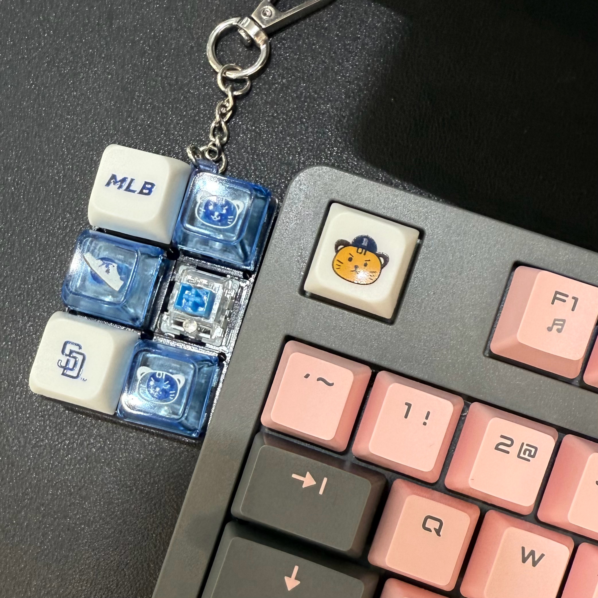 征用一只虎虎 