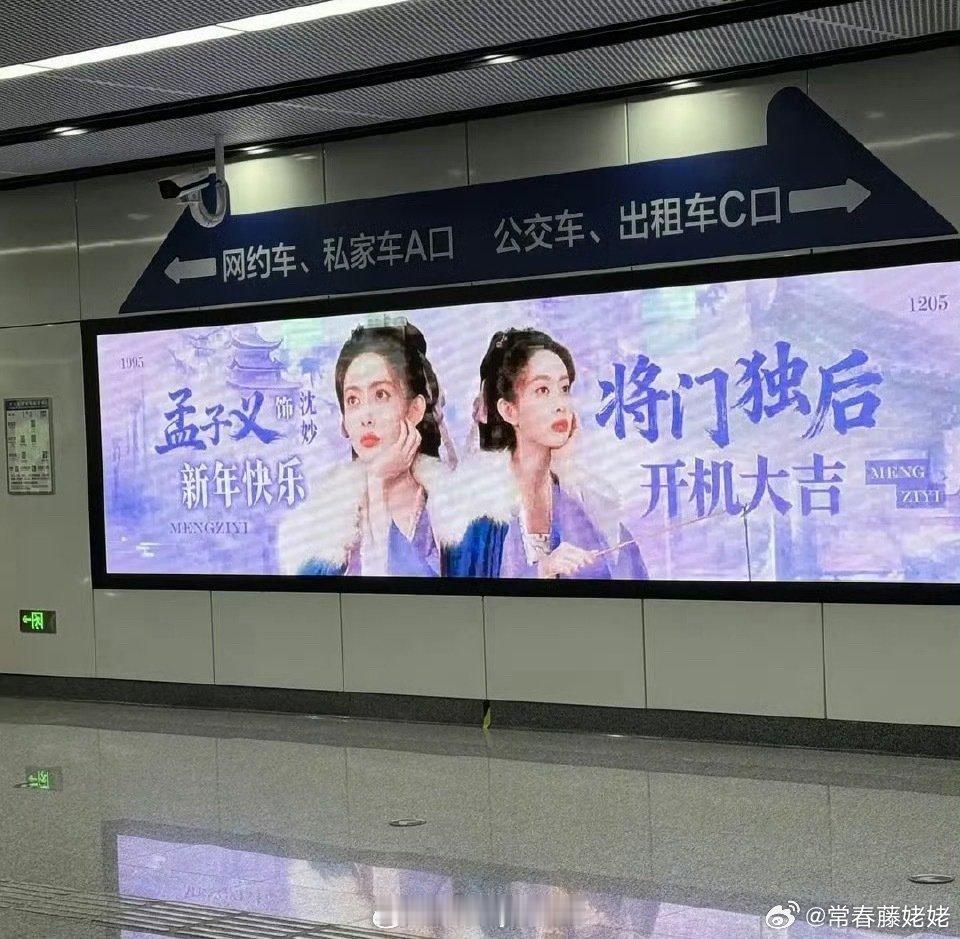 孟子义粉丝给她做的将门独后应援 