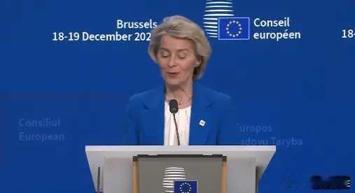 俄乌冲突 12月19日，欧盟主席冯德莱恩宣布，我们今天齐聚一堂，目标明确：解决乌