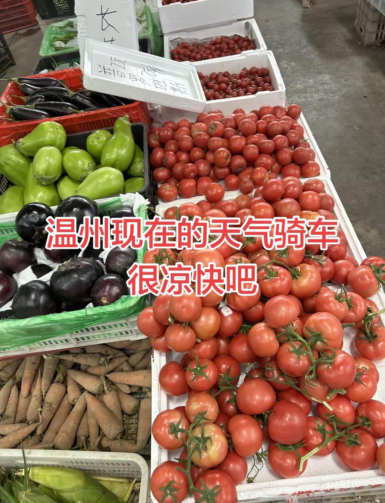 温州现在的天气骑车很凉快吧