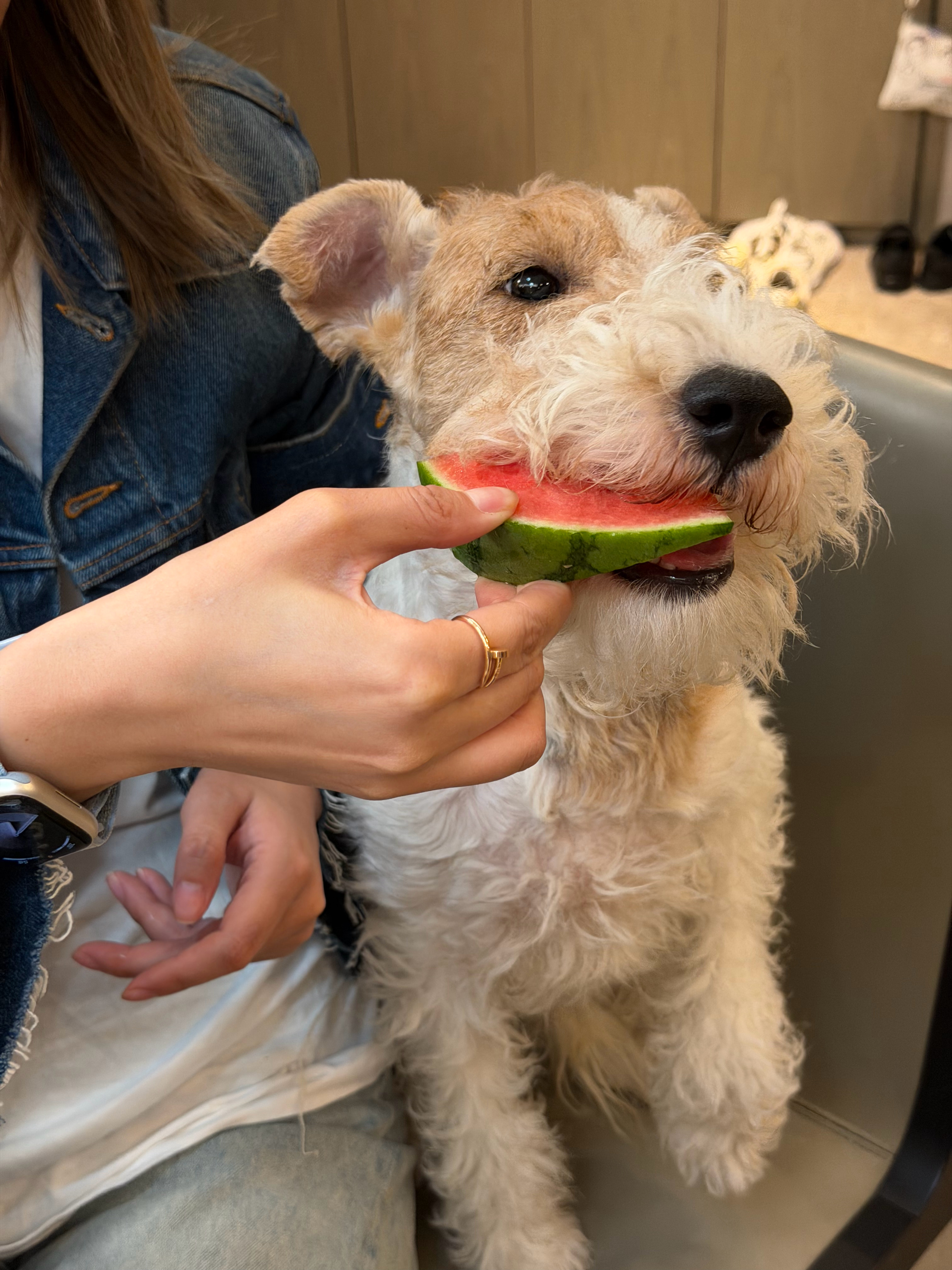 切到一个报恩西瓜，8424，江苏专属的夏天代号 苏州