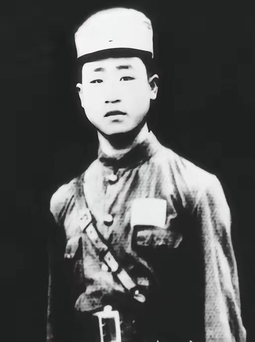 1933年，中共陕西省委书记杜衡被捕后叛变，供出了梁德元。梁德元预感事情不妙，嘱