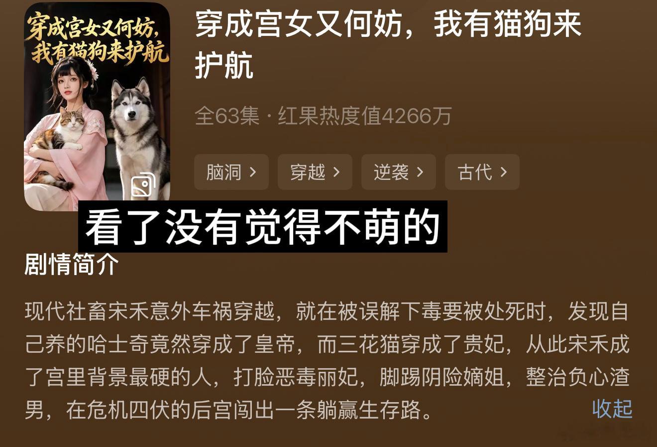 不知不觉看尸块剧已经做到第三弹了 